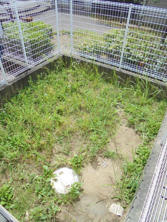 奈良県奈良市朱雀2(一戸建)の賃貸物件の内装