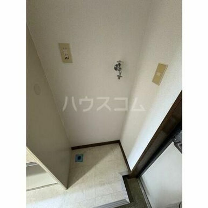 ホワイトウイング左入のその他画像