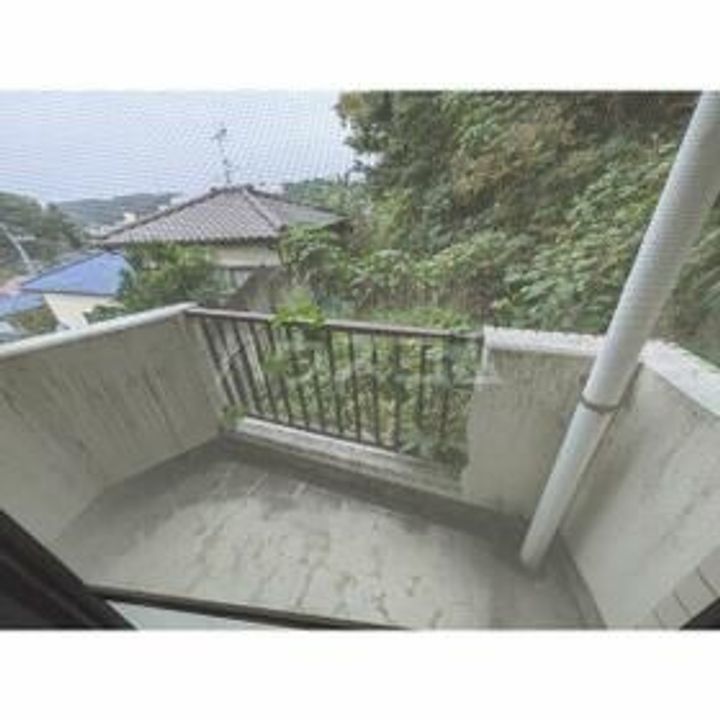 ホワイトウイング左入の内装