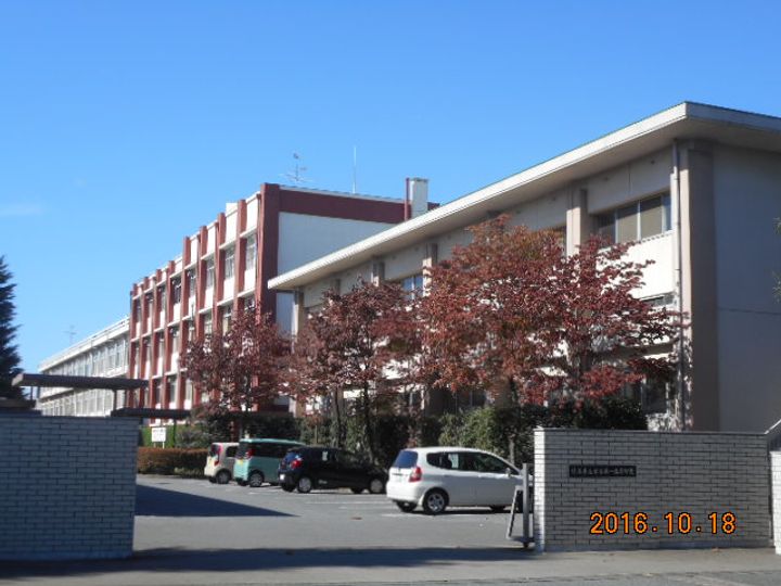 柴崎ハイツの周辺