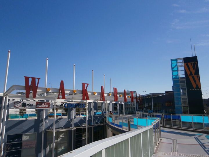 MSフリージアの周辺