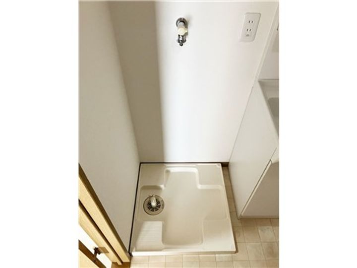 アベリアのその他画像