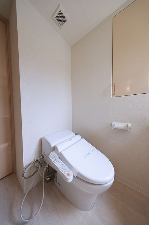 東京都港区南麻布5(マンション)の賃貸物件の内装