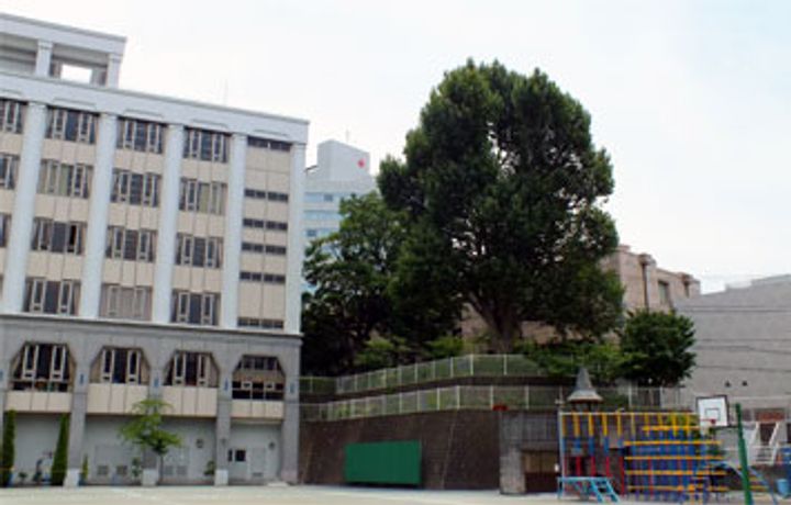東京都港区南青山4(マンション)の賃貸物件の周辺