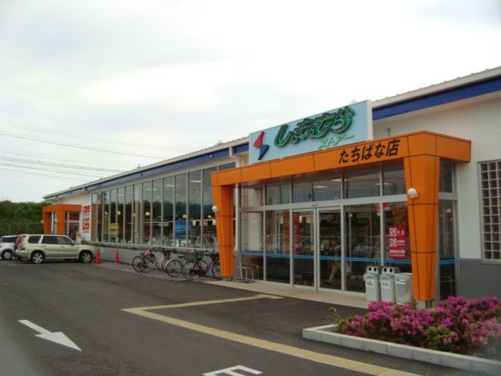 神奈川県小田原市中村原(アパート)の賃貸物件のその他画像