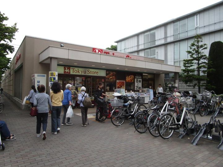 シャルム大岡山の周辺