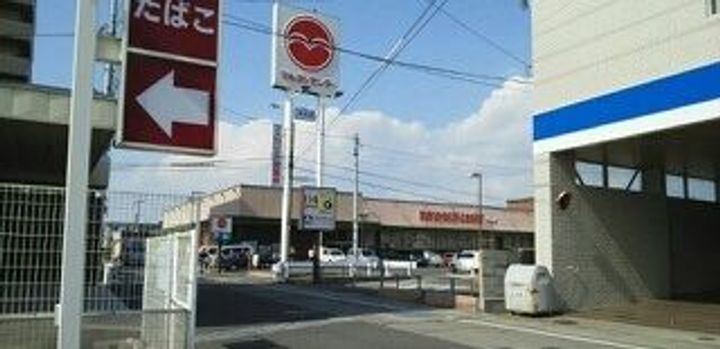 モア ドリームの周辺
