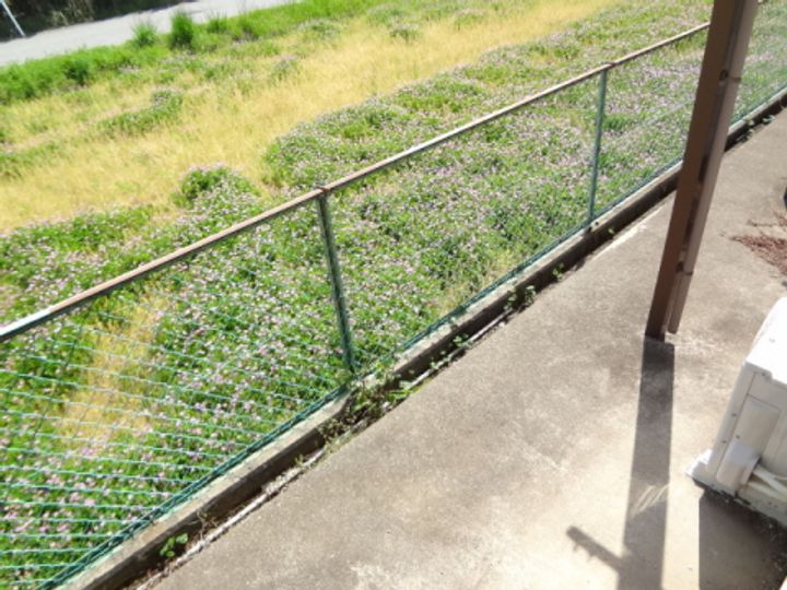 滋賀県米原市西山(アパート)の賃貸物件の内装