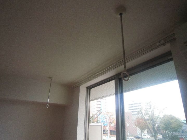 湘南コスモスのその他画像