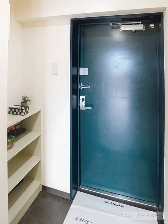 滋賀県彦根市竹ケ鼻町(マンション)の賃貸物件の玄関