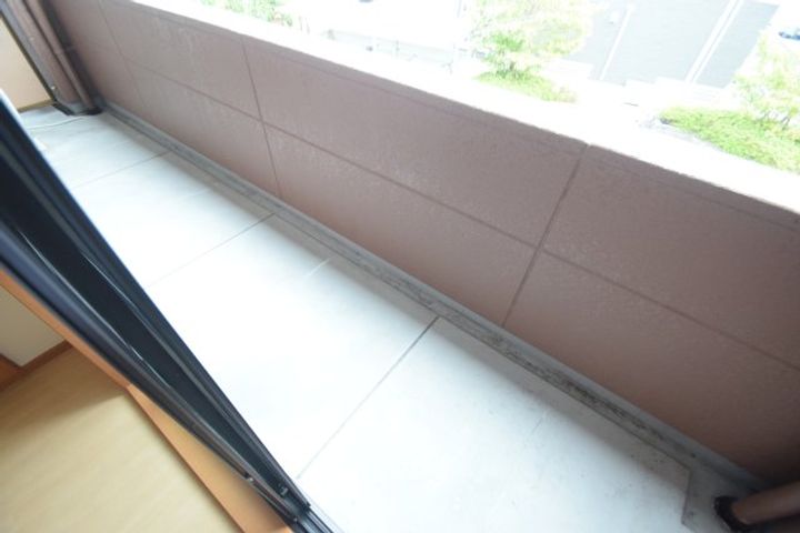 徳島県阿南市羽ノ浦町中庄市(アパート)の賃貸物件の内装