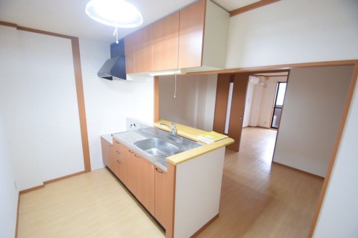 徳島県阿南市羽ノ浦町中庄市(アパート)の賃貸物件のキッチン