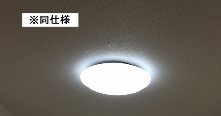 東京都国立市谷保(アパート)の賃貸物件の内装