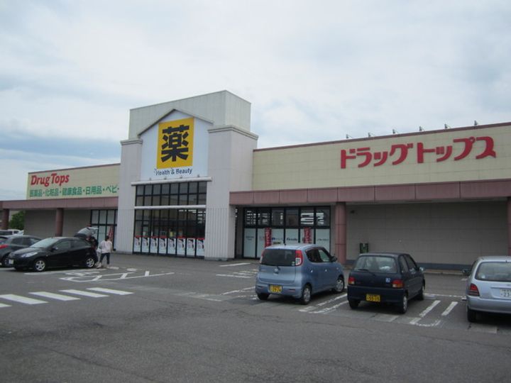 グリーンハウスの周辺