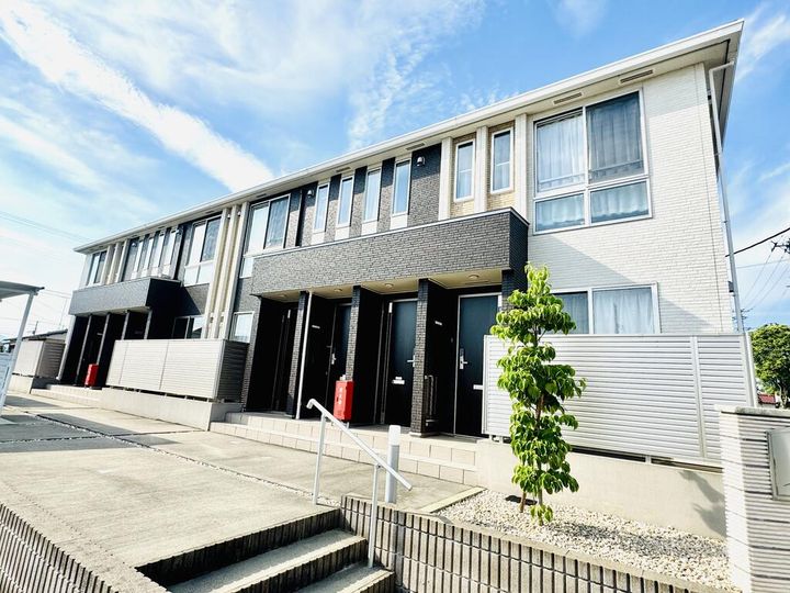 ハナミズキの外観