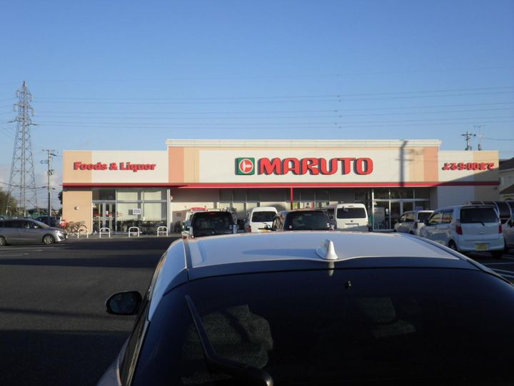 ハナミズキの周辺