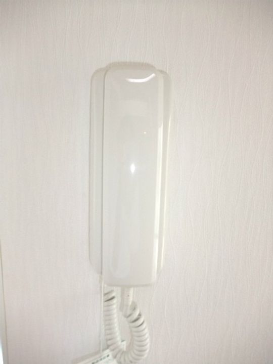 東京都練馬区貫井3(一戸建)の賃貸物件の内装