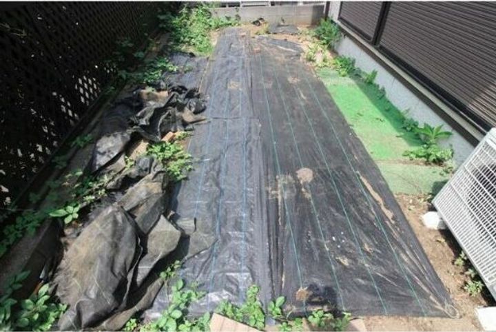東京都小金井市東町2(一戸建)の賃貸物件の内装
