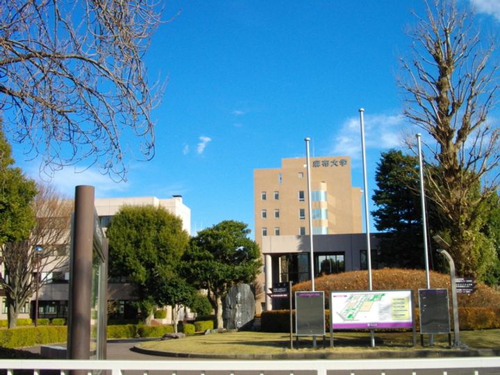 東京都町田市常盤町(アパート)の賃貸物件の周辺