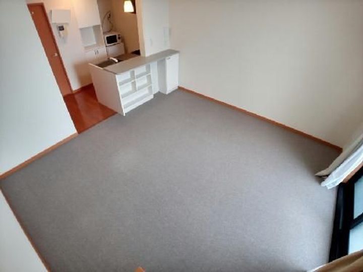 レオパレスドリーム118の居間