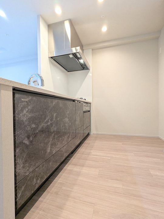 大阪府箕面市船場東2(マンション)の賃貸物件のキッチン