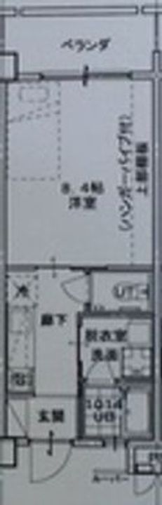 ARAHA SUNSETの間取り