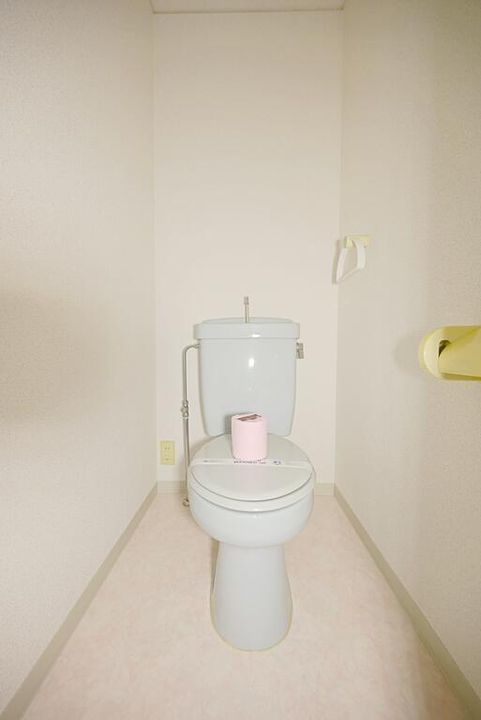 広島県安芸郡海田町南昭和町(マンション)の賃貸物件の内装