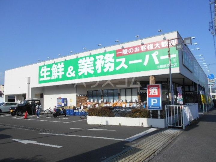 神奈川県小田原市柳新田(一戸建)の賃貸物件の周辺