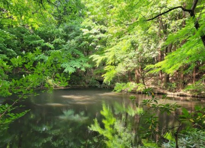 オーパスホームズ武蔵小金井の周辺