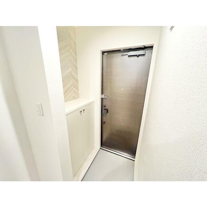 千葉県千葉市花見川区犢橋町(アパート)の賃貸物件の玄関