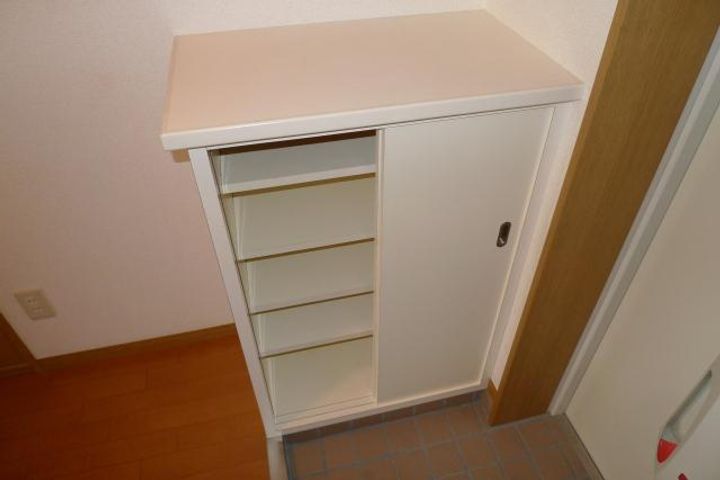 パレス中洲の玄関