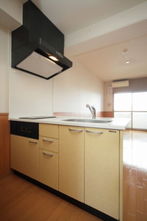 フォレスタ川崎医大西のキッチン