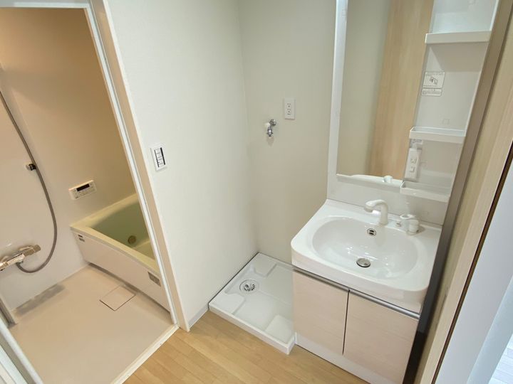 モンステラの内装