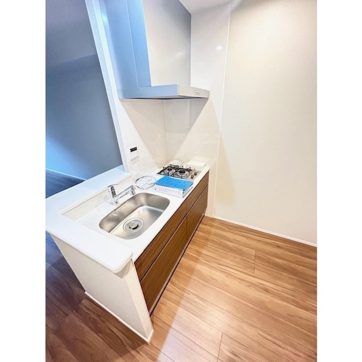 レーベン熊本駅レクシア 203号のキッチン