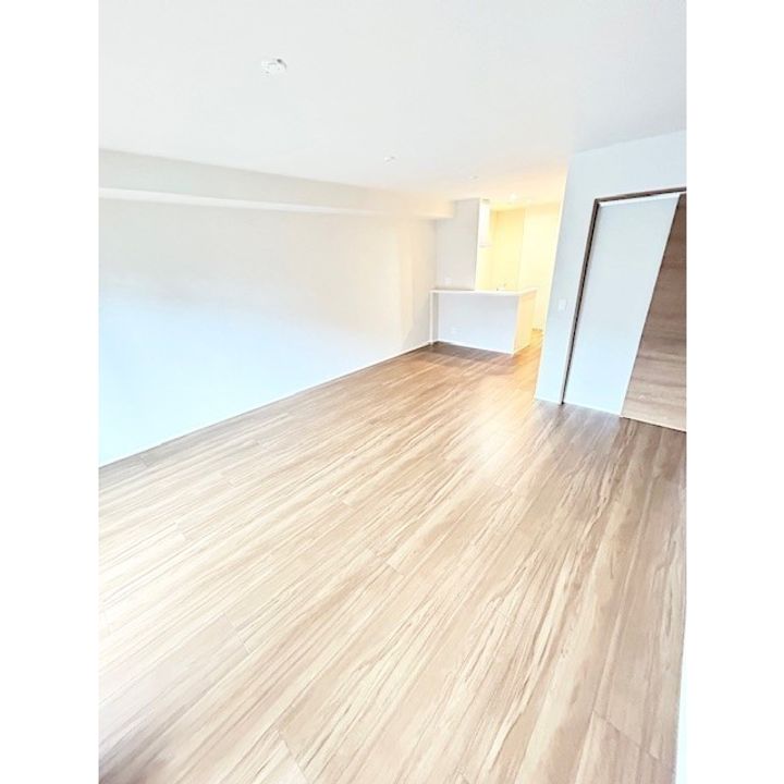 レーベン熊本駅レクシア 203号の内装