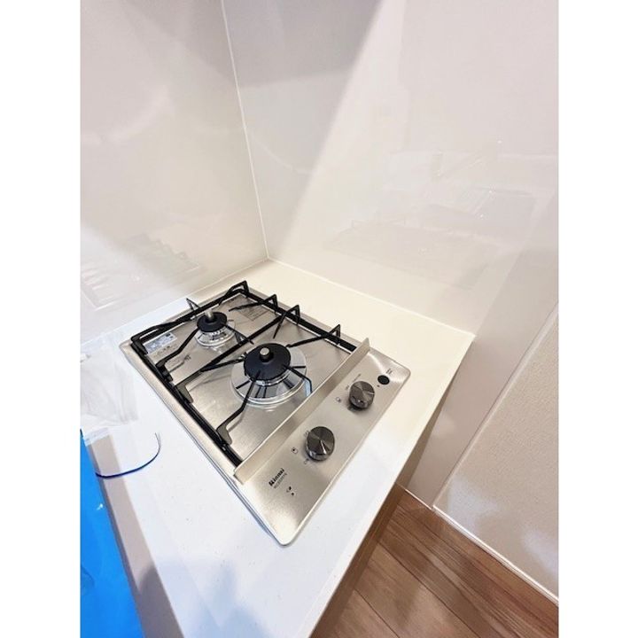 レーベン熊本駅レクシア 203号の内装