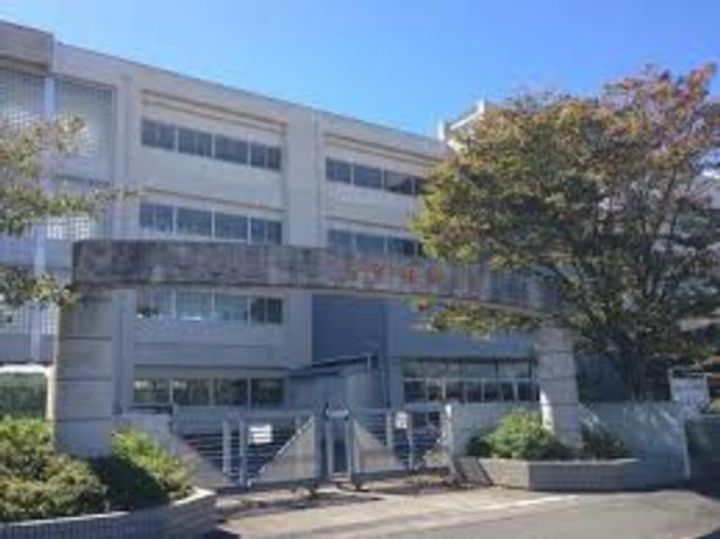 ホワイトバーチの周辺