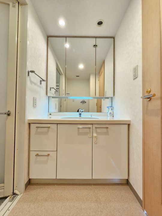 グローイングコート君津406の内装