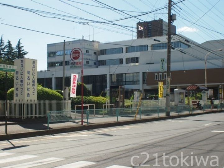 ハレマヒナの周辺
