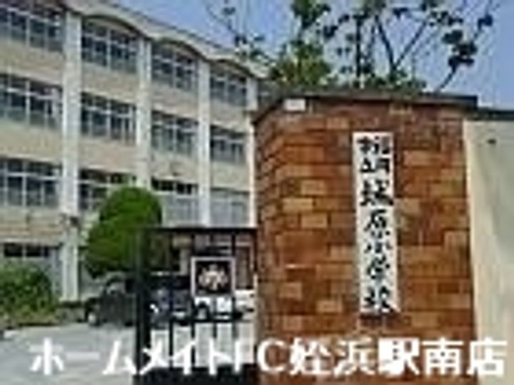 フォルトーナT・Jの周辺