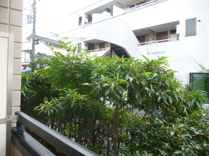 アネックスウサミのその他画像