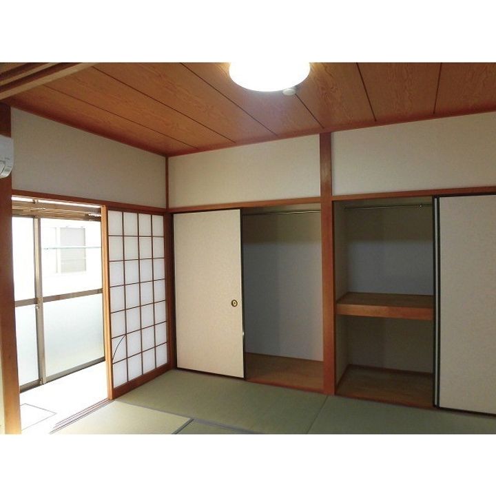 ニューカトレアNのその他画像
