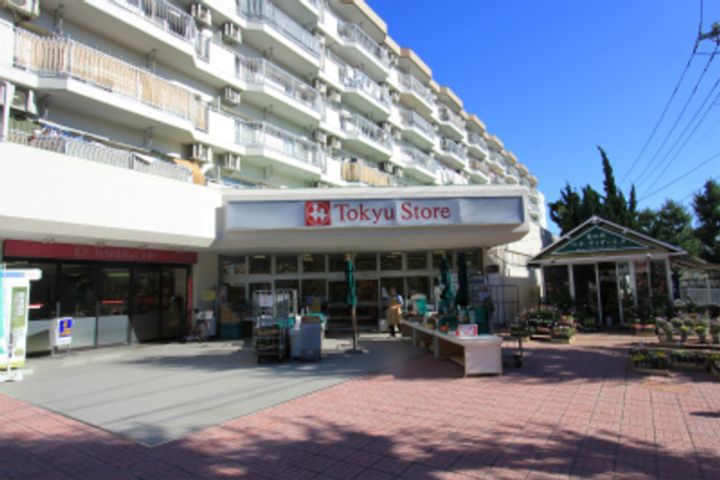 ジュネス東林間の周辺