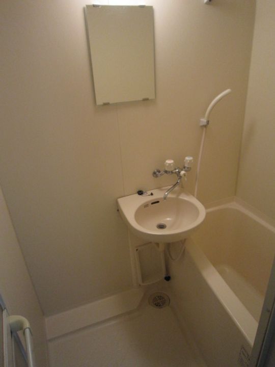 プチヴォアクサギの風呂