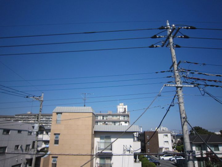 プチヴォアクサギのその他画像