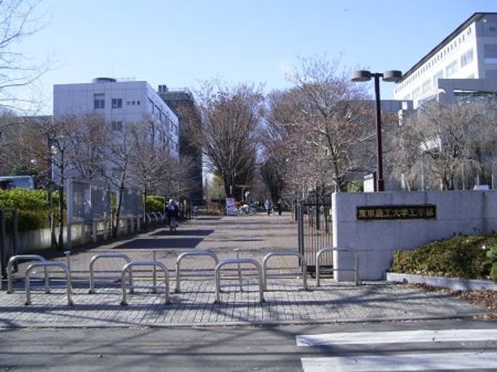 プチヴォアクサギの周辺