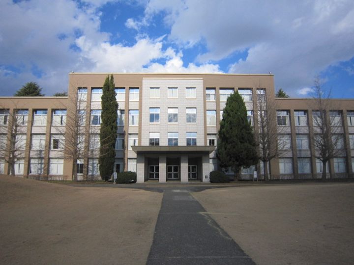 プチヴォアクサギの周辺