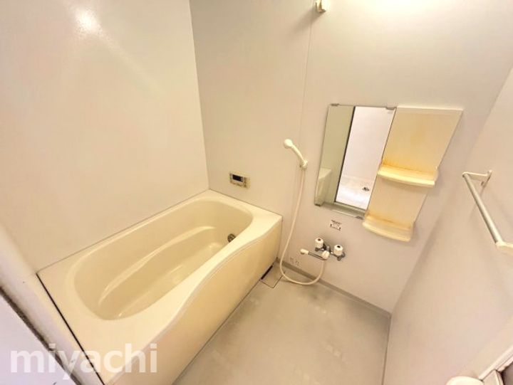 徳島県徳島市国府町府中(アパート)の賃貸物件の風呂