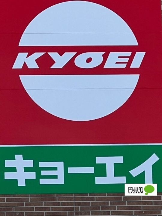 徳島県徳島市川内町松岡(一戸建)の賃貸物件の周辺