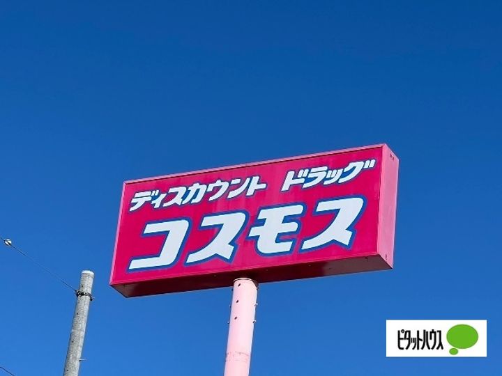 徳島県徳島市川内町松岡(一戸建)の賃貸物件の周辺